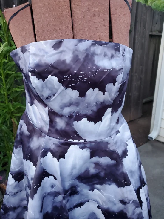 Weasel Wear Cloud-Pattern Strapless Fit-and-Flare Dress with Black Harness - Picture 8 of 13